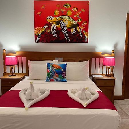 Le Chevalier Bay Guesthouse Ансе Лацио Экстерьер фото